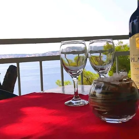 Daire Bartol With Free Bikes *