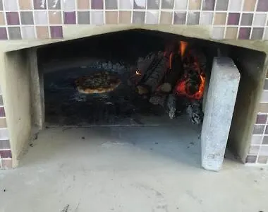 Daire Bartol With Free Bikes