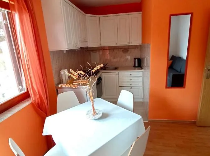 Bartol With Free Bikes * 트로기르